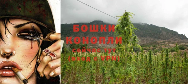 бутират Баксан