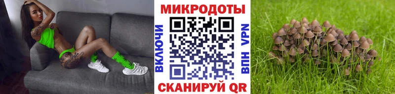 Псилоцибиновые грибы Magic Shrooms  Купить где  Асбест 